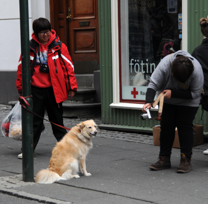 hundfoto120714